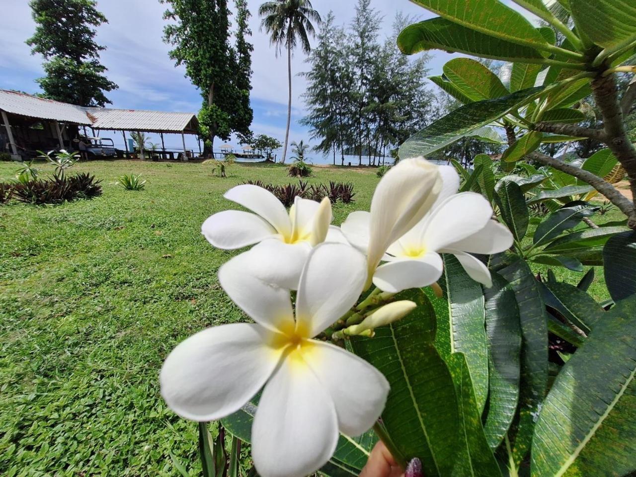 Miss You Beach Resort Koh Mak Exterior foto